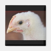 唯一の女 マグネット (正面)