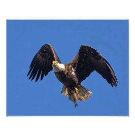 商品の配送 フォトプリント           