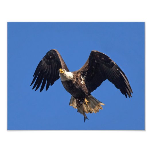 商品の配送 フォトプリント            (正面)