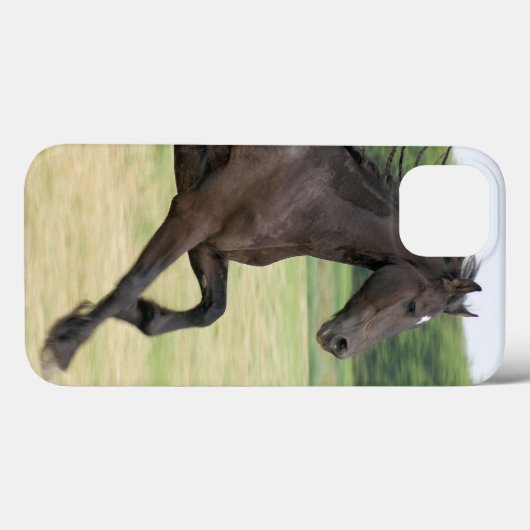 商品 Case-Mate iPhoneケース (裏面 (横))