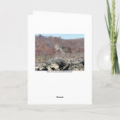 「問題をした何。 ~ 2 サンキューカード (裏面)