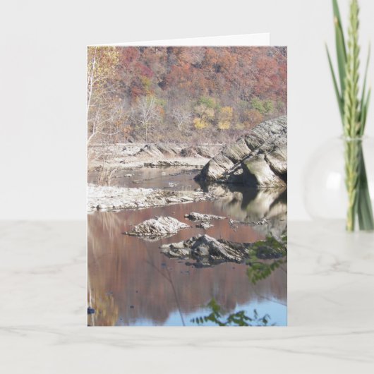 「問題をした何。 ~ 2 サンキューカード (正面)