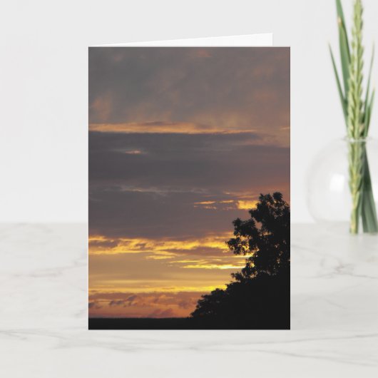 問題をする何。 ~ 17 サンキューカード (正面)