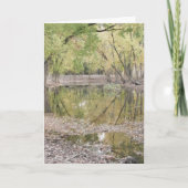 問題をする何。 ~ 1 サンキューカード (正面)