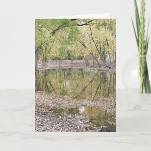 問題をする何。 ~ 1 サンキューカード (正面)