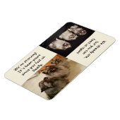 問食べ物を与え題が決まりま食べ物を与えす マグネット (左側)