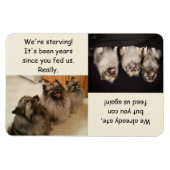 問食べ物を与え題が決まりま食べ物を与えす マグネット (横)