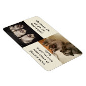 問食べ物を与え題が決まりま食べ物を与えす マグネット (右側)