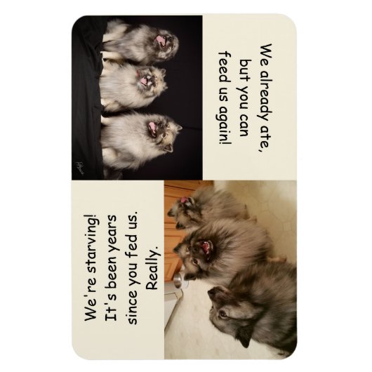 問食べ物を与え題が決まりま食べ物を与えす マグネット (縦)