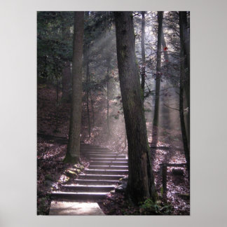 啓発へのステップ ポスター