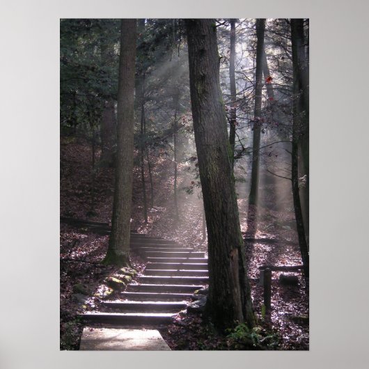 啓発へのステップ ポスター (正面)