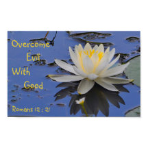 善のユリで悪を克服する