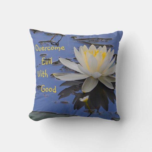 善をもって悪を克服する クッション (正面)