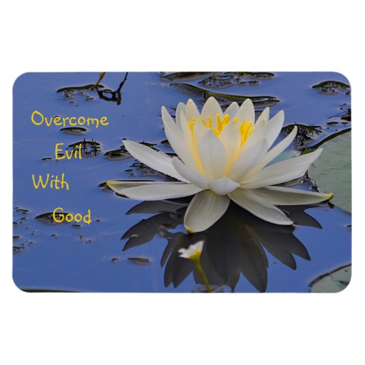 善をもって悪を克服する マグネット (横)