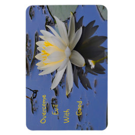 善をもって悪を克服する マグネット