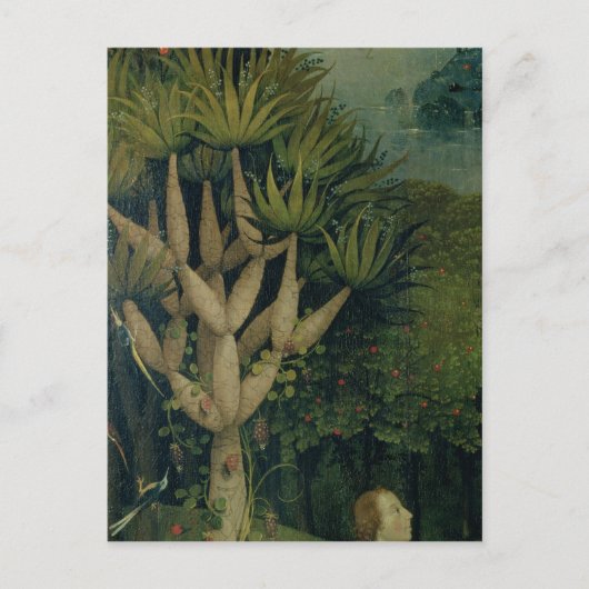 善悪の知識の木 ポストカード (正面)