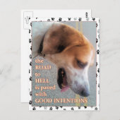 善意の犬 ポストカード (正面/裏面)