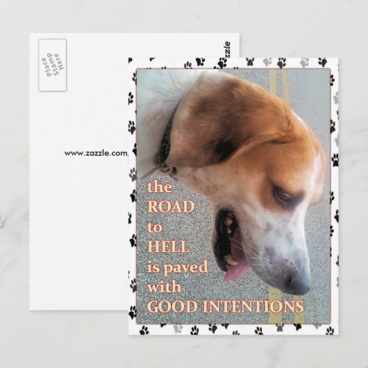 善意の犬 ポストカード (正面/裏面)