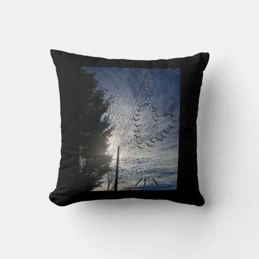 善音 クッション (正面)