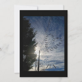 善音 シーズンカード