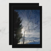 善音 シーズンカード (正面/裏面)