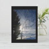 善音 シーズンカード (スタンド正面)