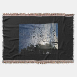 善音 スローブランケット