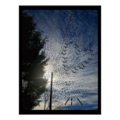 善音 ポスター (正面)