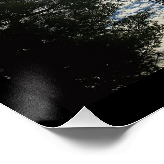 善音 ポスター (コーナー)