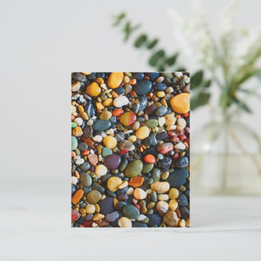 善音 ポストカード (スタンド正面)