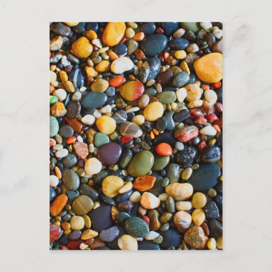 善音 ポストカード (正面)