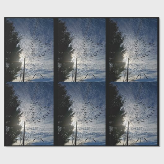 善音 ラッピングペーパー (フラット)