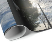 善音 ラッピングペーパー (ロールコーナー)