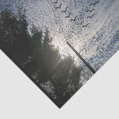 善音 薄葉紙 (詳細)