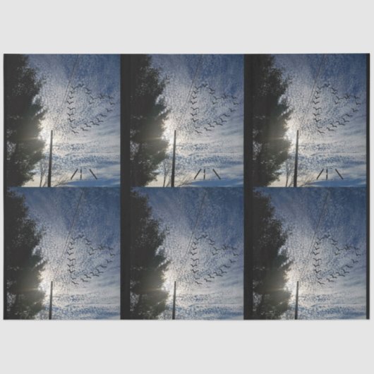 善音 薄葉紙 (正面)