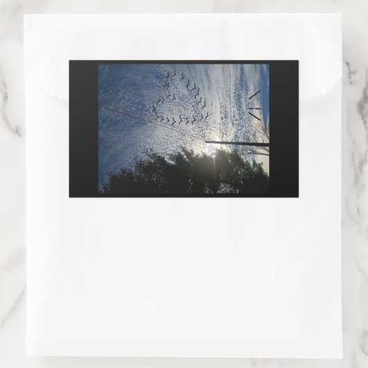 善音 長方形シール (バッグ)