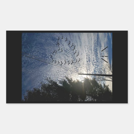 善音 長方形シール (正面)