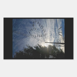 善音 長方形シール