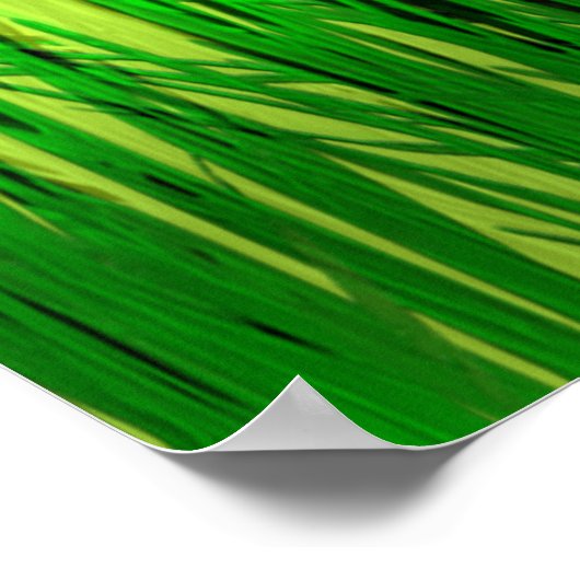 喉が渇いたカメ ポスター (角)