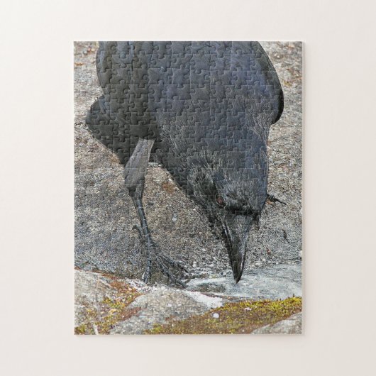 喉の渇いたカラスが飲む ジグソーパズル (縦)