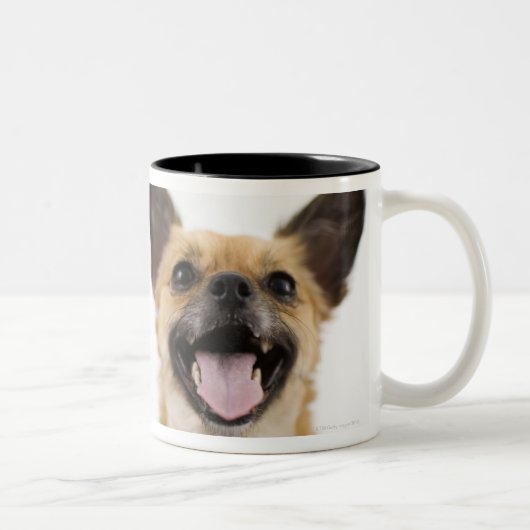 喘ぐ犬 ツートーンマグカップ (右)