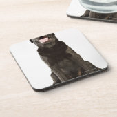 喘ぐ黒いラブラドール(イヌ属のfamiliaris) コースター (左側)