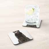 喘ぐ黒いラブラドール(イヌ属のfamiliaris) コースター (右側)