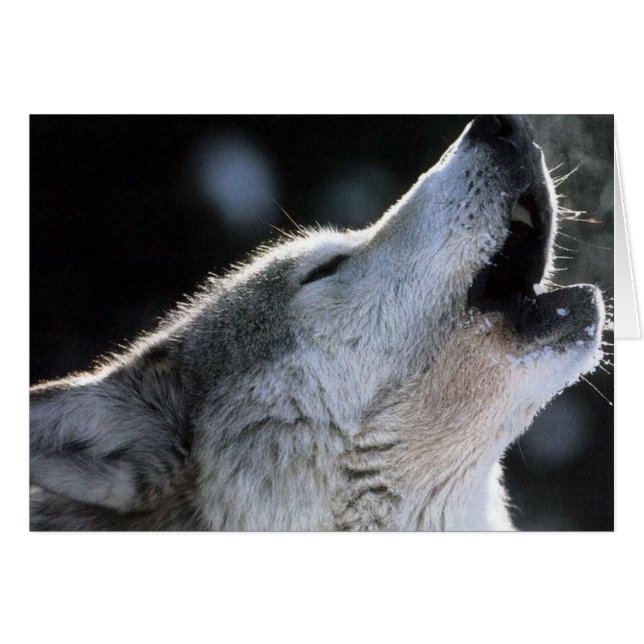 喚き声 (正面横)