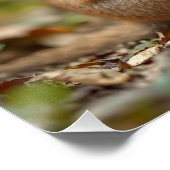 「喜ばしい絆：オーストラリアのママとベビークッカ」 ポスター (コーナー)