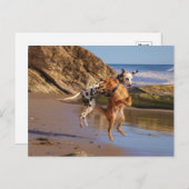 喜びで飛び跳ね！ ポストカード (正面/裏面)