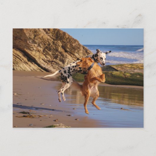 喜びで飛び跳ね！ ポストカード (正面)