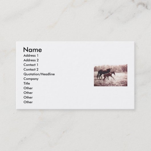 喜びと夢のために飛び上がる 名刺 (正面)