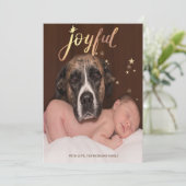 喜びに満ちた犬の足の写真 クリスマス (スタンド正面)