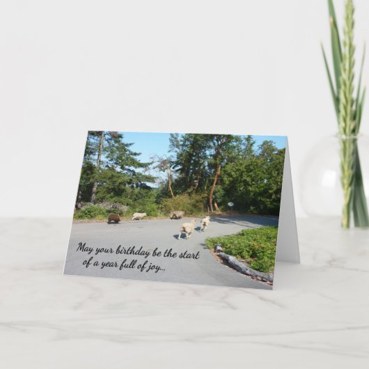 喜びに満ちた1年…宗教的な誕生日 カード (正面)